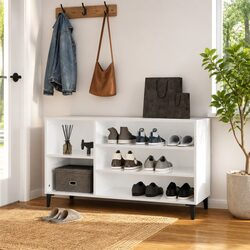 Stylish High Gloss Shoe Cabinet Organizer for Your Hall