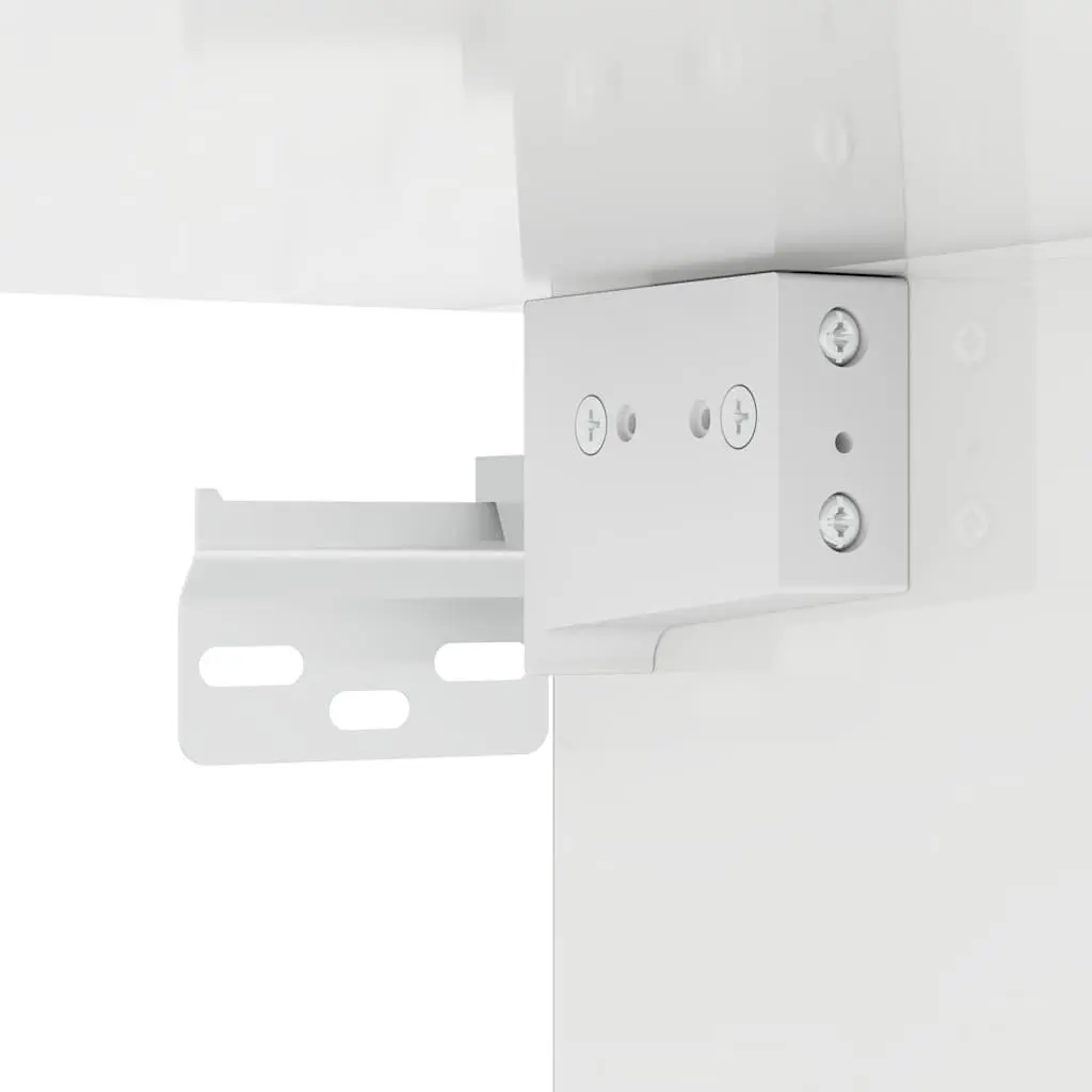 Wall Mounted Shoe Cabinet White High Gloss Storage Organiser 100x35x38 cm