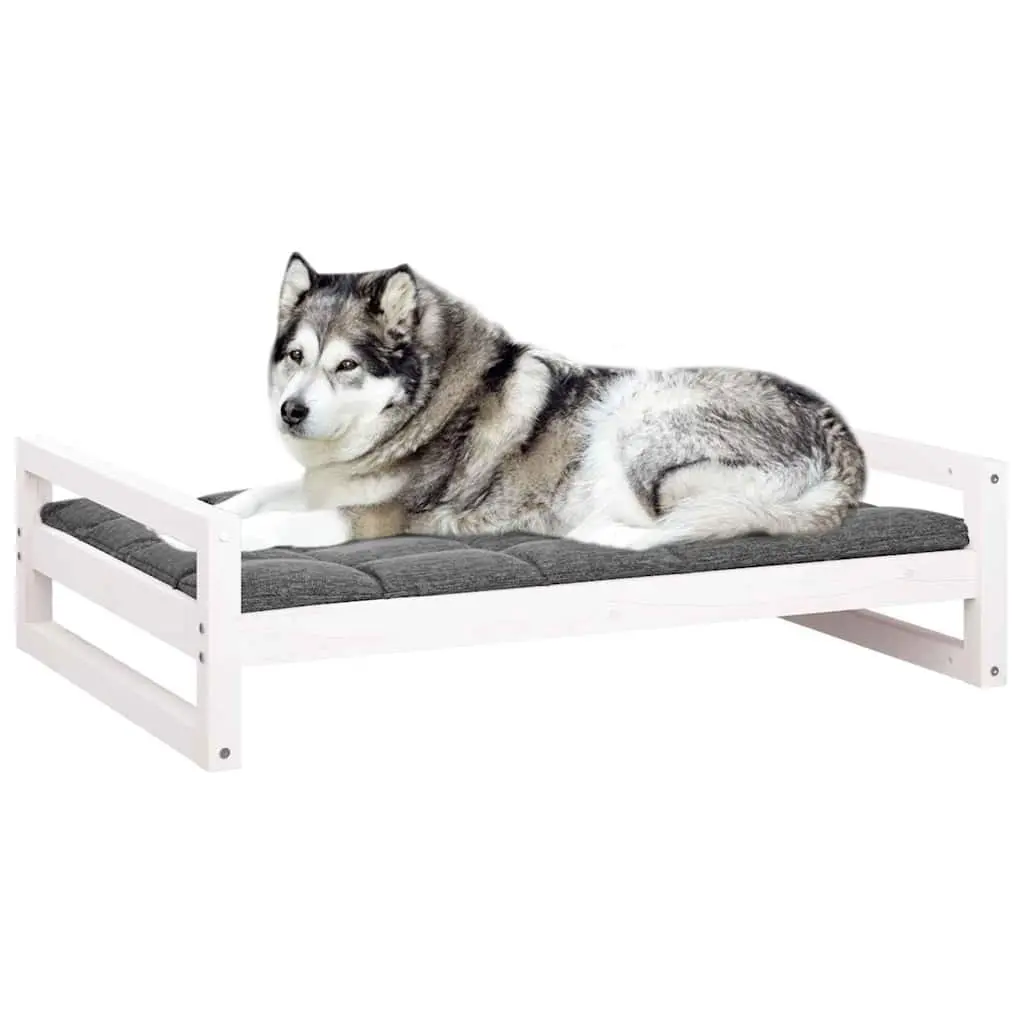 Rectangular Dog Bed in White with Solid Pine Frame