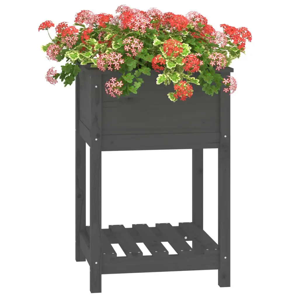Grey Solid Pine Wooden Planter with Shelf for Garden
