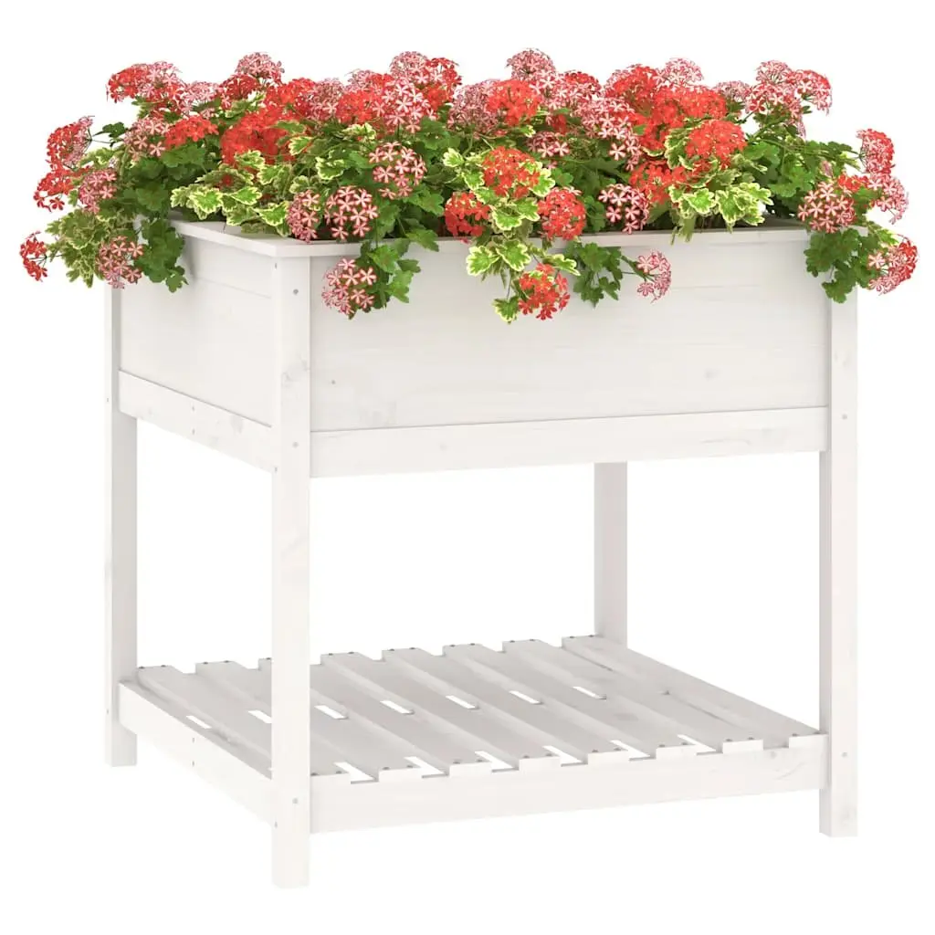 Solid Pine Wooden Planter with Shelf for Gardens