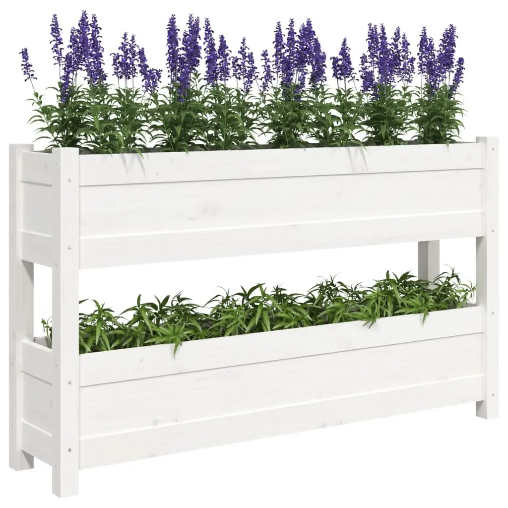 Wooden Planter Solid Pine 112x25x66cm White 2 Flower Boxes