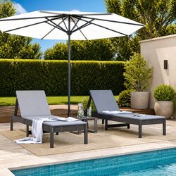Adjustable Backrest Sun Loungers 2 pcs Grey Outdoor Chairs