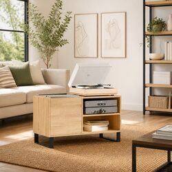 Durable Sonoma Oak Record Cabinet for Vinyl Storage