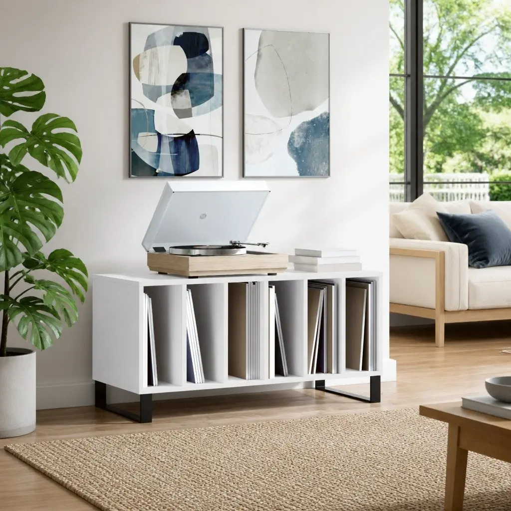 Record Cabinet for Vinyl LP Storage and Display