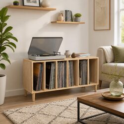 Brown Engineered Wood Record Storage Cabinet for LPs