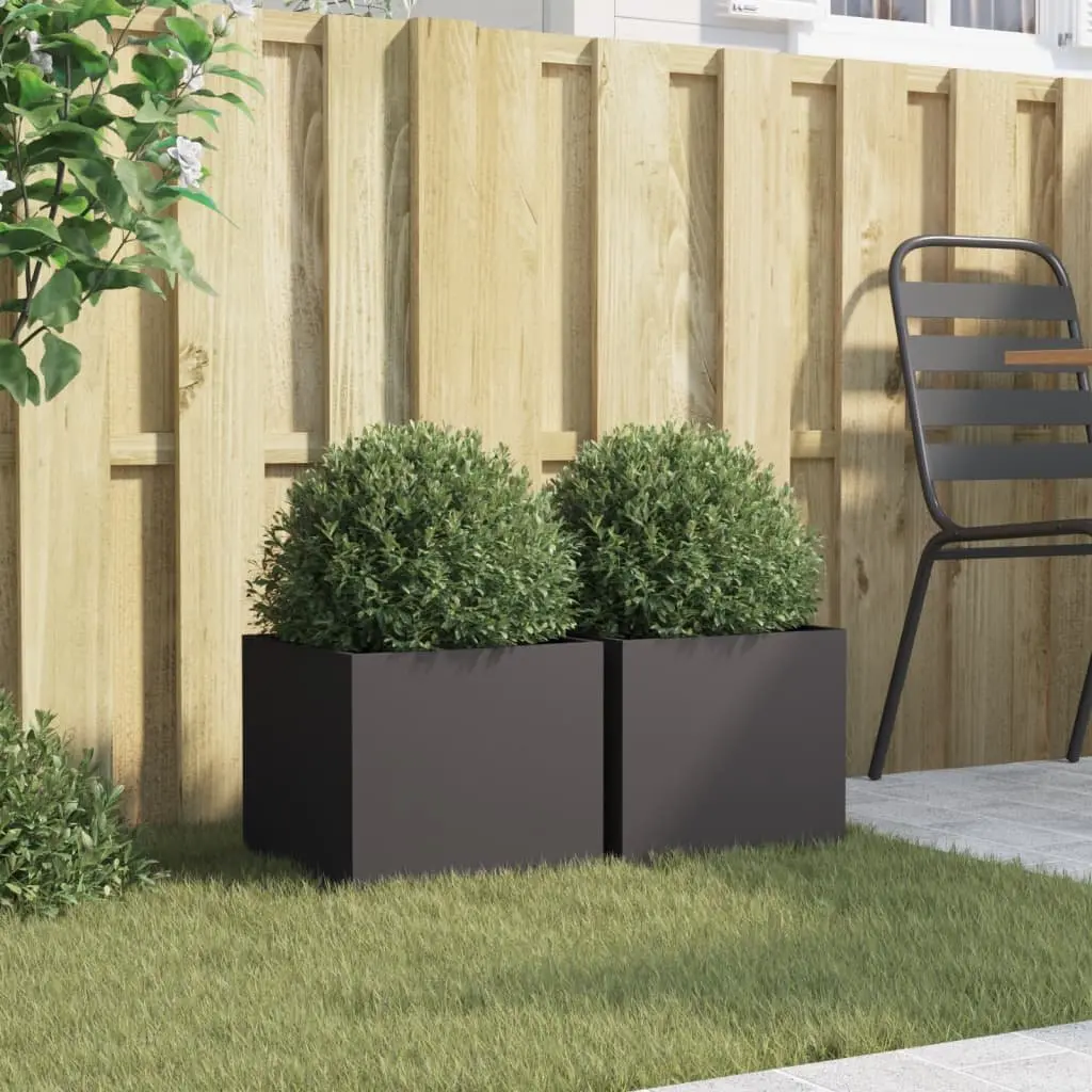 Steel Planters Cold-Rolled Steel 32x30x29 cm Black 2 Piece