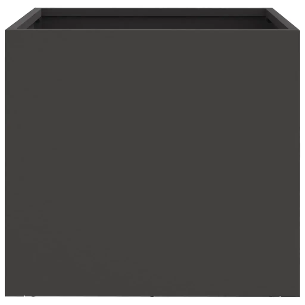 Steel Planters Cold-Rolled Steel 32x30x29 cm Black 2 Piece