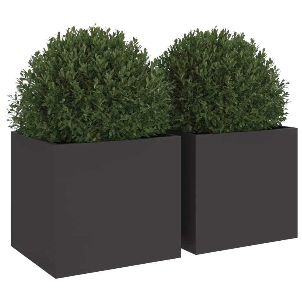 Steel Planters Cold-Rolled Steel 32x30x29 cm Black 2 Piece