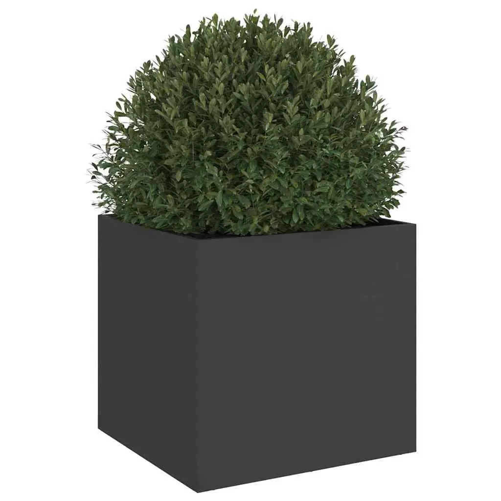 Planter Box Cold-rolled Steel 42 x 40 x 39 cm Black