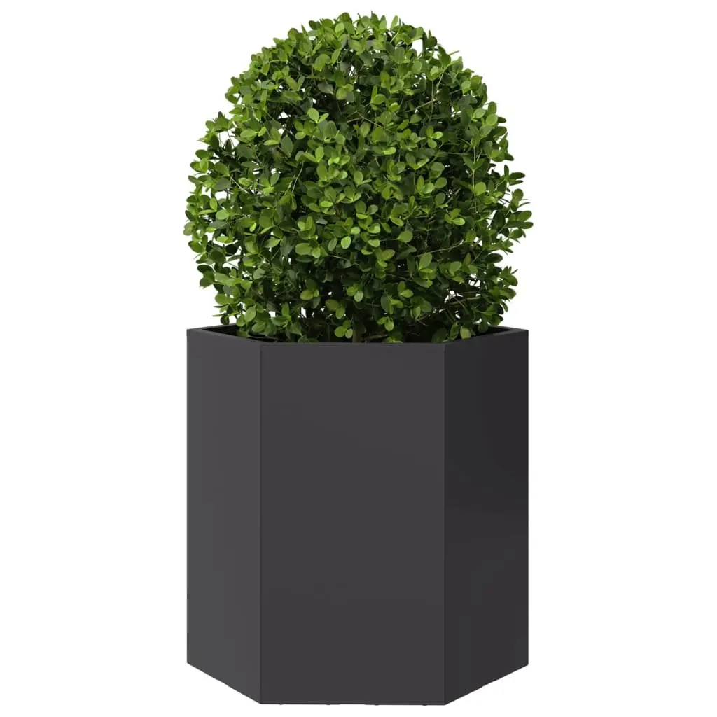 Garden Planters Steel 46x40x45 cm Black Hexagon 2 pcs Raised Outdoor Flower Pot