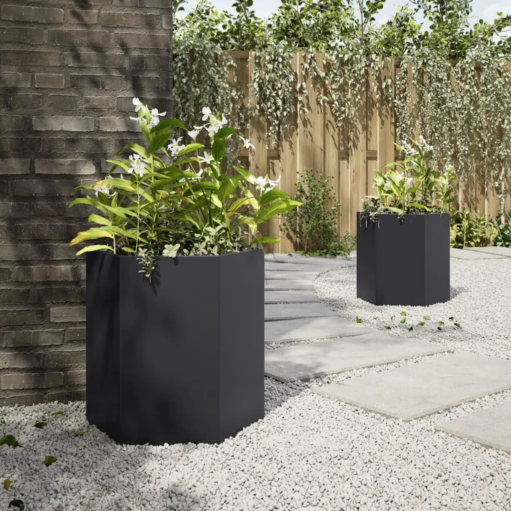 Garden Planters Steel 46x40x45 cm Black Hexagon 2 pcs Raised Outdoor Flower Pot