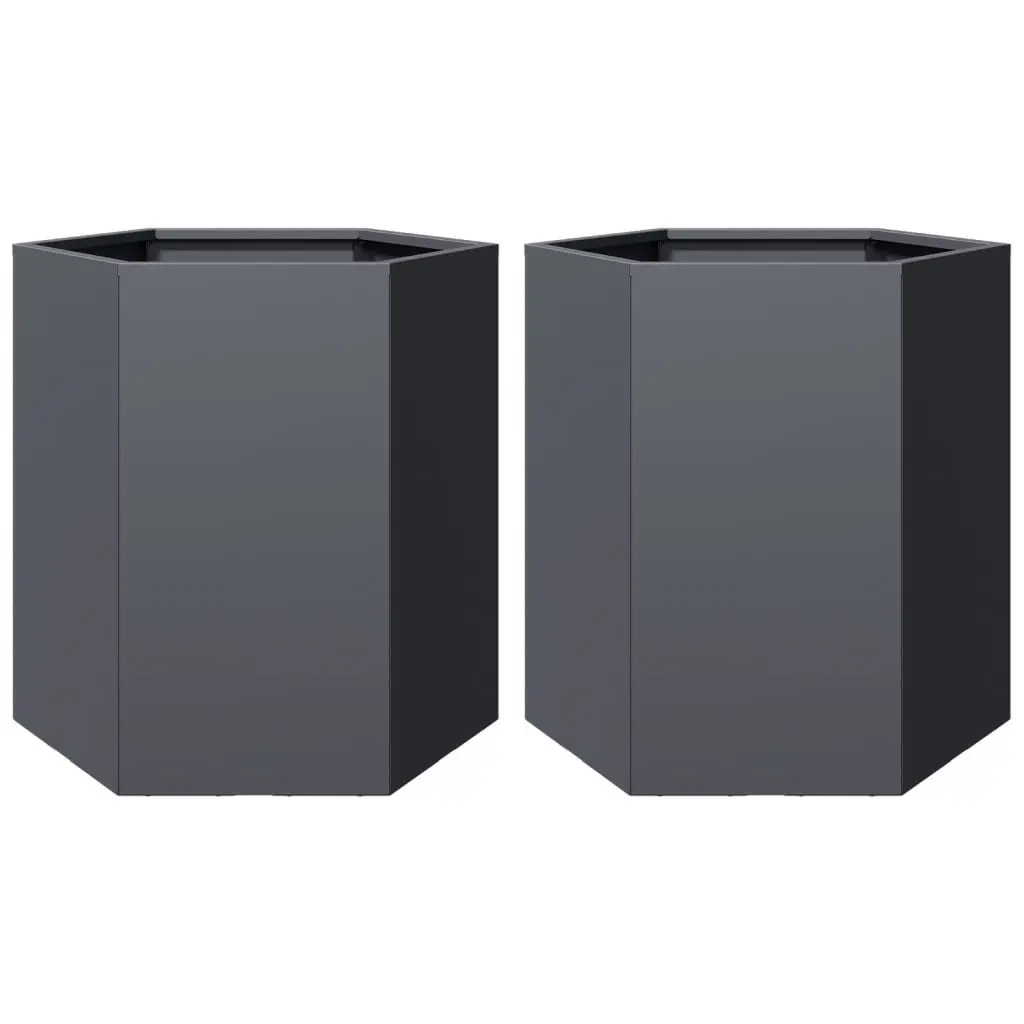 Garden Planters Steel Hexagon 46 x 40 x 45 cm Anthracite 2 pcs