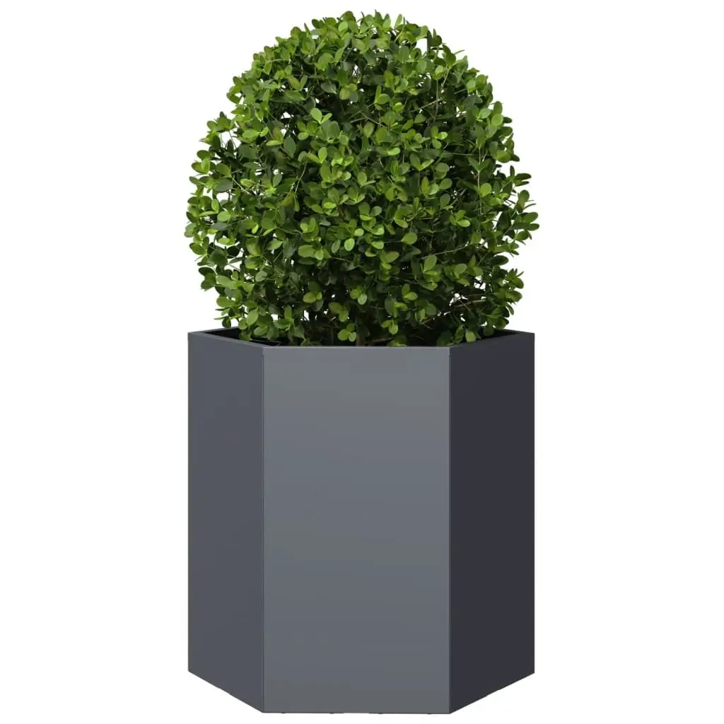 Garden Planters Steel Hexagon 46 x 40 x 45 cm Anthracite 2 pcs