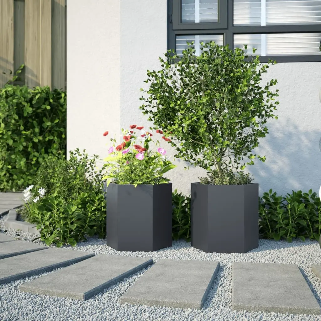 Garden Planters Steel Hexagon 46 x 40 x 45 cm Anthracite 2 pcs