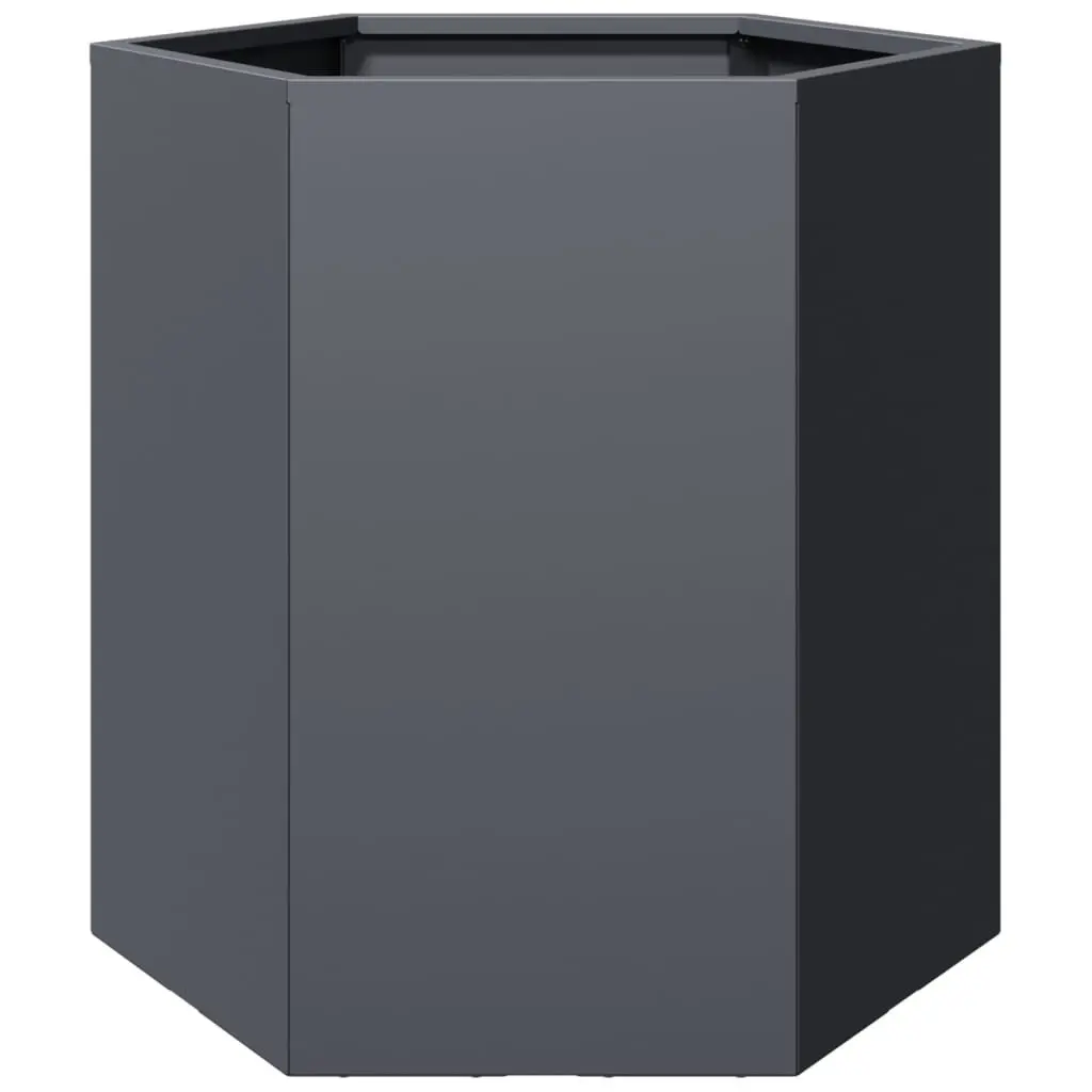 Garden Planters Steel Hexagon 46 x 40 x 45 cm Anthracite 2 pcs