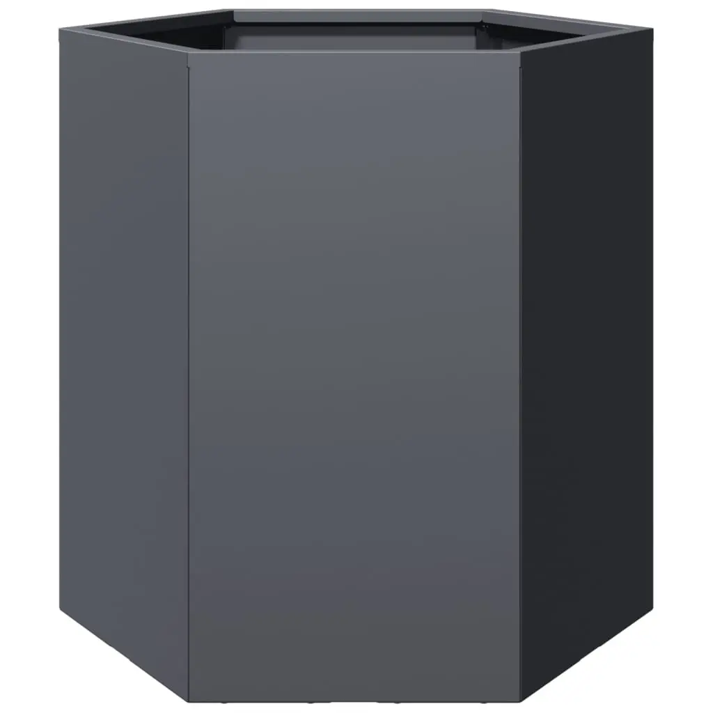 Garden Planters Steel Hexagon 46 x 40 x 45 cm Anthracite 2 pcs