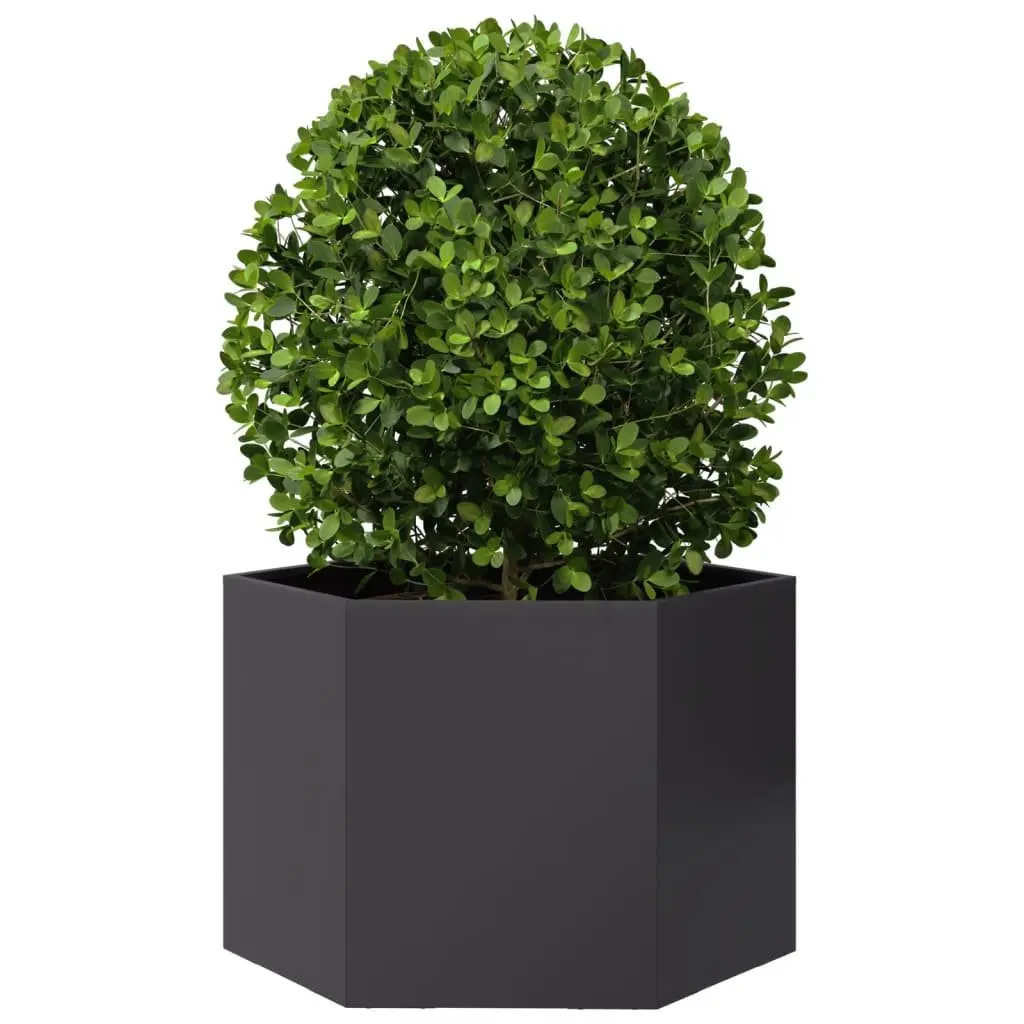 Garden Planter Steel Hexagon 69x60x45cm Black