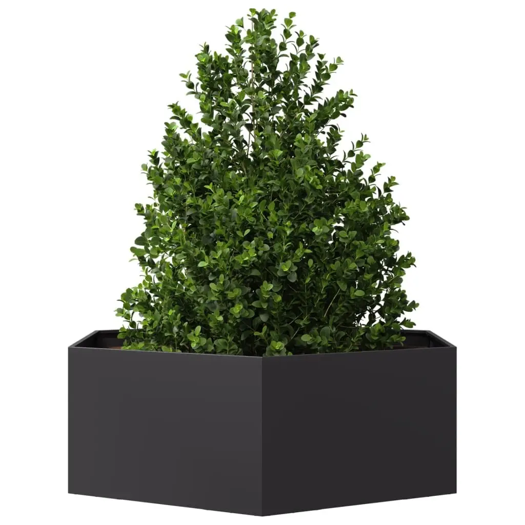 Garden Planter Steel Hexagon 138x120x45cm Black Raised Bed Outdoor