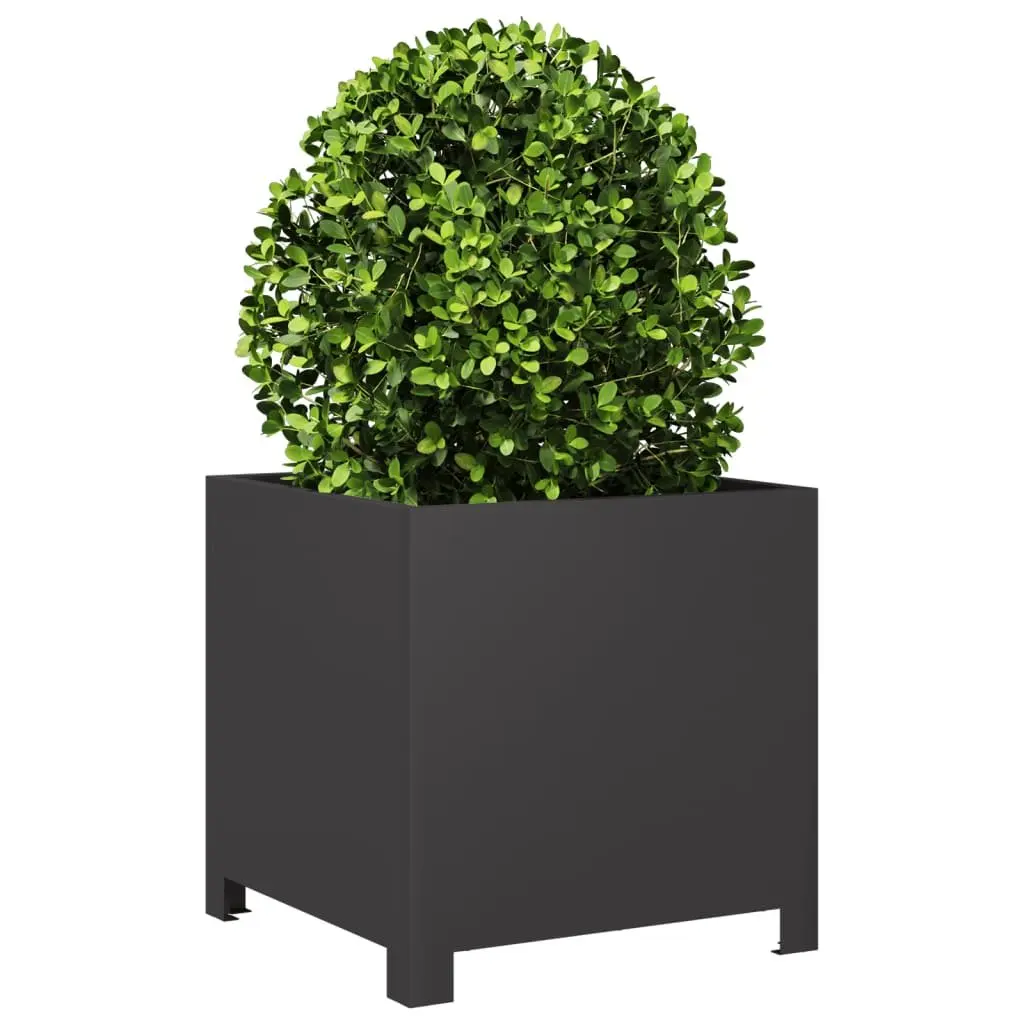 Garden Planters Steel 40x40x40 cm Black 2 Piece