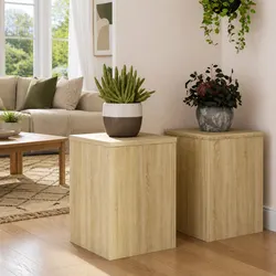 2 Pack Sonoma Oak Plant Stands 25x25x35 cm