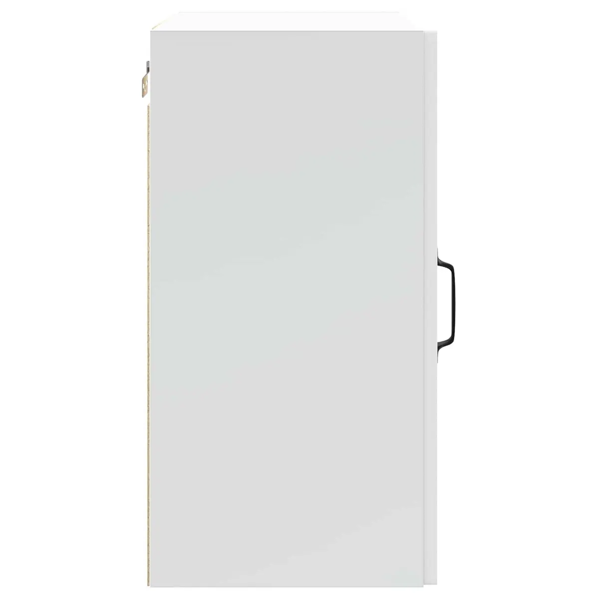 White Engineered Wood Wall Cabinet for Storage