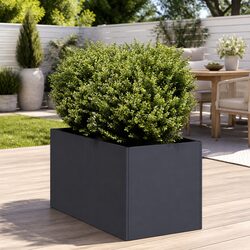 Stylish Raised Garden Planter Box 40x80x40 cm Anthracite