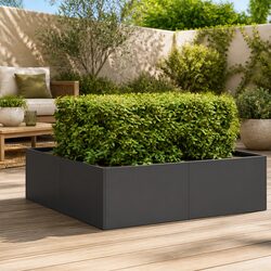 Durable Steel Planter Box in Black 100x100x30 cm