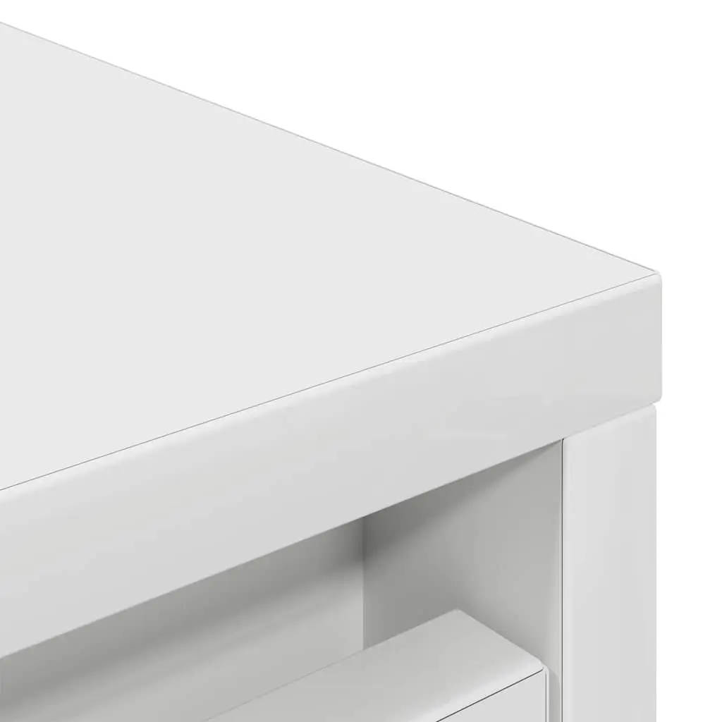 Shoe Cabinet Storage Organiser White Engineered Wood Cupboard with Doors