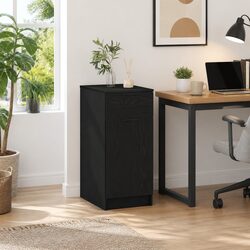 Modern Black Oak Office Storage Cabinet with Drawers