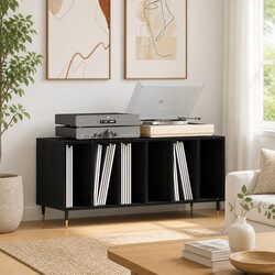 Contemporary Black Oak Record Cabinet for Vinyl Storage