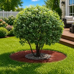 Stylish Brown Tree Ring for Outdoor Garden Use 30/60 cm