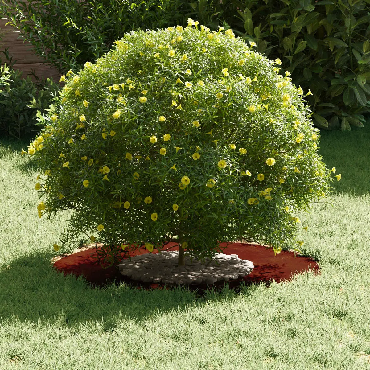 Brown Tree Ring for Outdoor Garden Use 30/60 cm