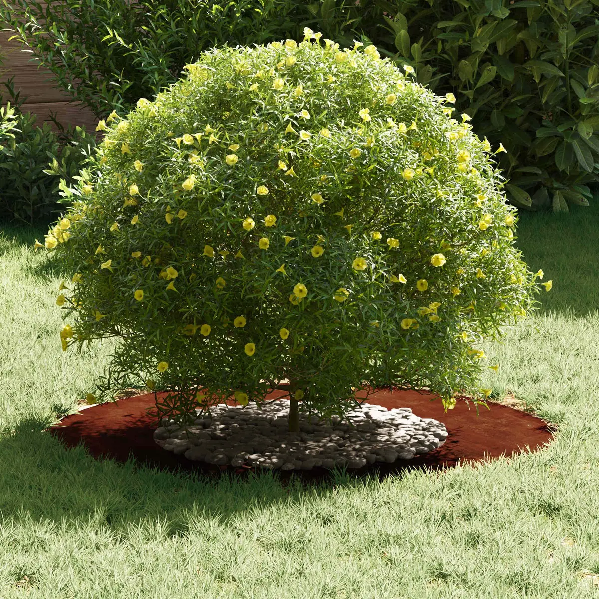 Rusty Brown Tree Ring Protector Set of 5 for Garden Edging