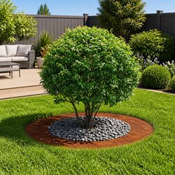 Tree Ring Garden Planter Rusty Brown Outdoor Lawn Flower Bed Edging Protection