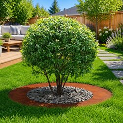 Premium 5-Piece Brown Tree Ring Set for Garden Edging