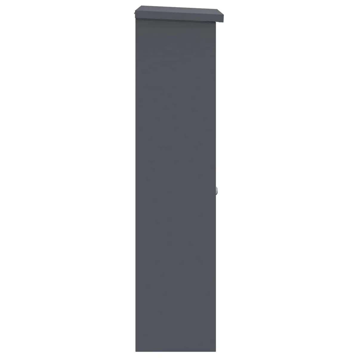 Parcel Drop Box Steel 44.5 x 29 x 110.5 cm Anthracite Outdoor