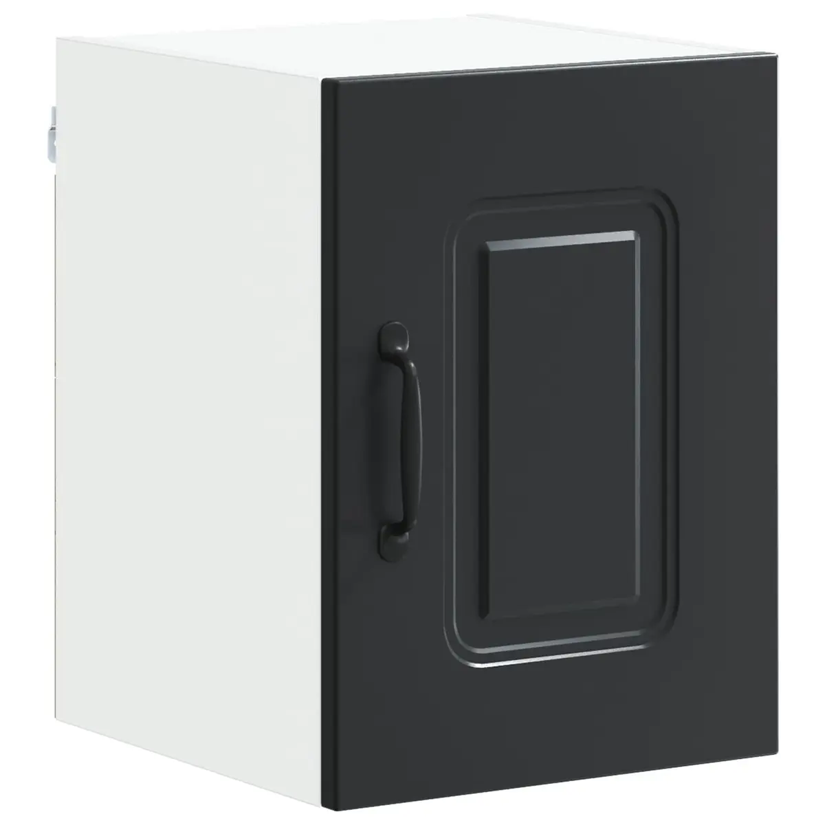 Black Kitchen Cabinet for Organized Storage