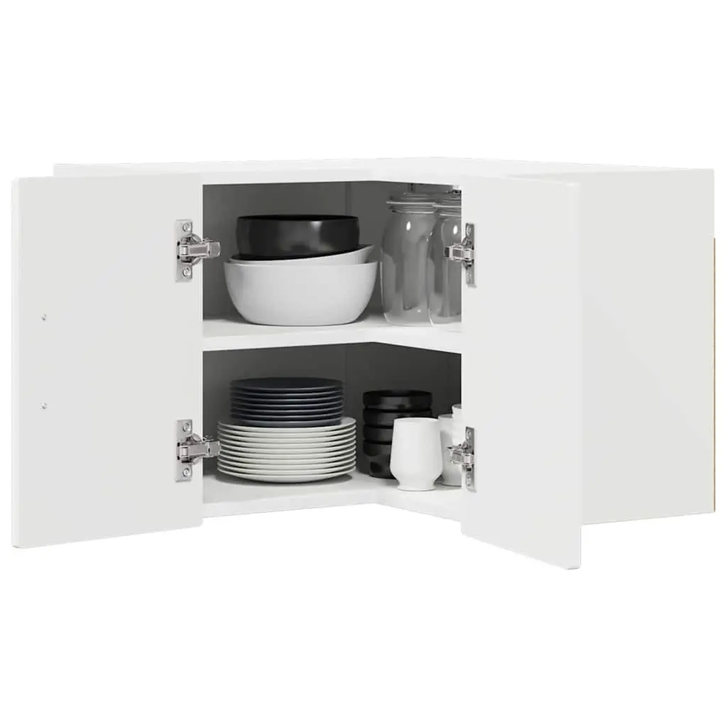 Wall Corner Cabinet for Kitchen Storage