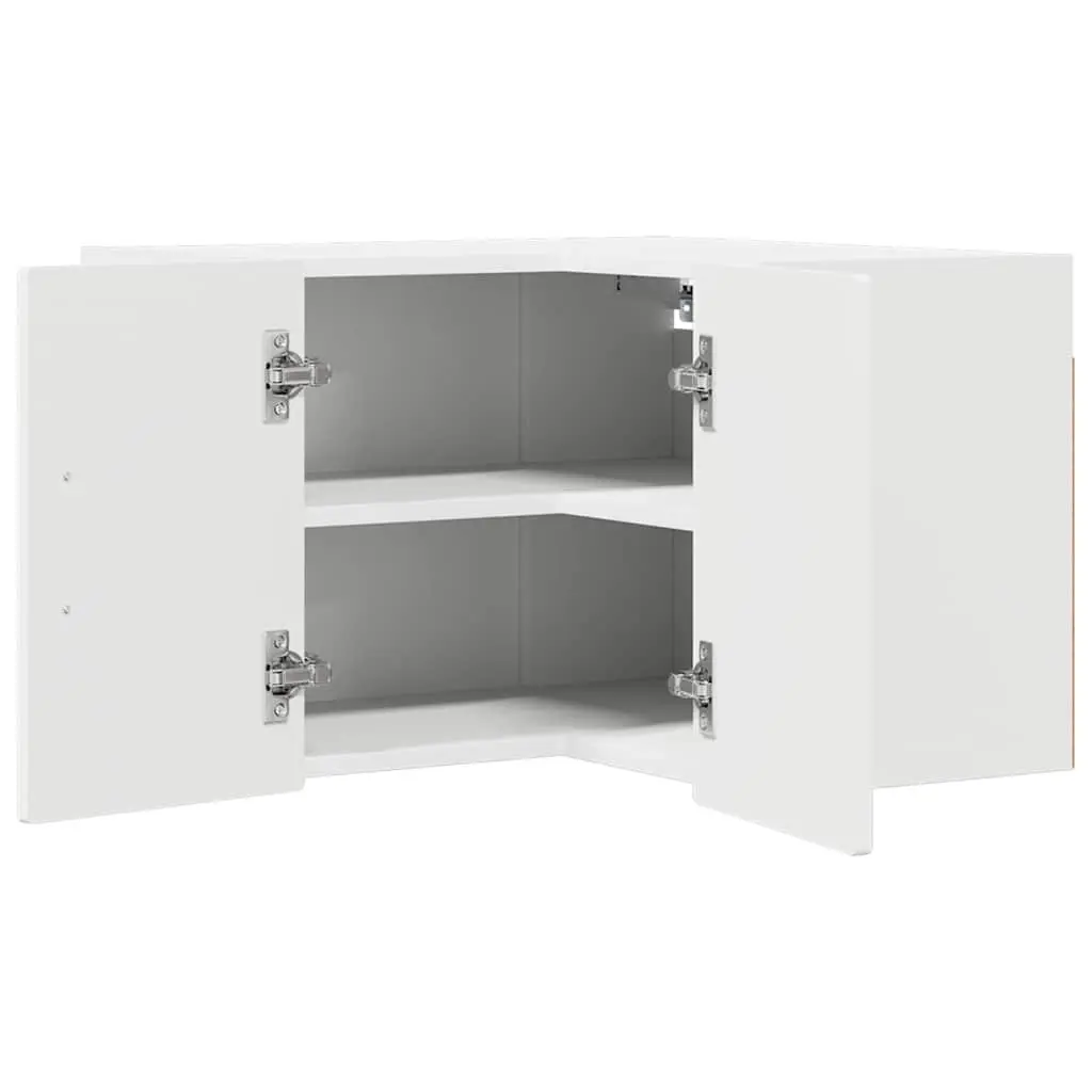Wall Corner Cabinet for Kitchen Storage