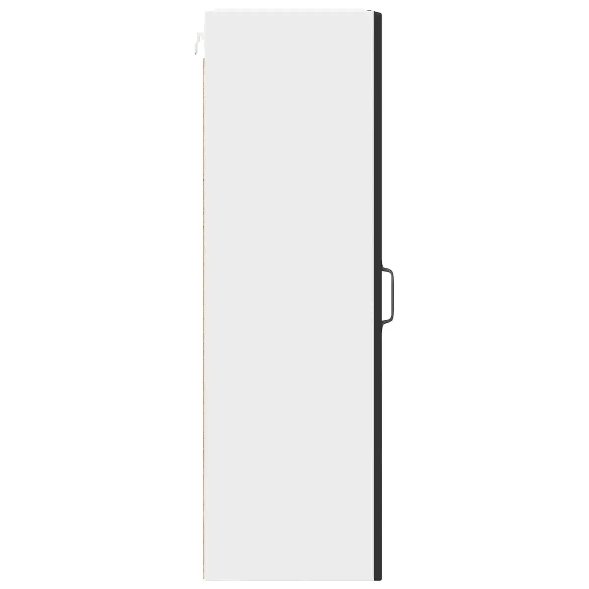 Wall-Mounted Kitchen Cabinet with Shelves