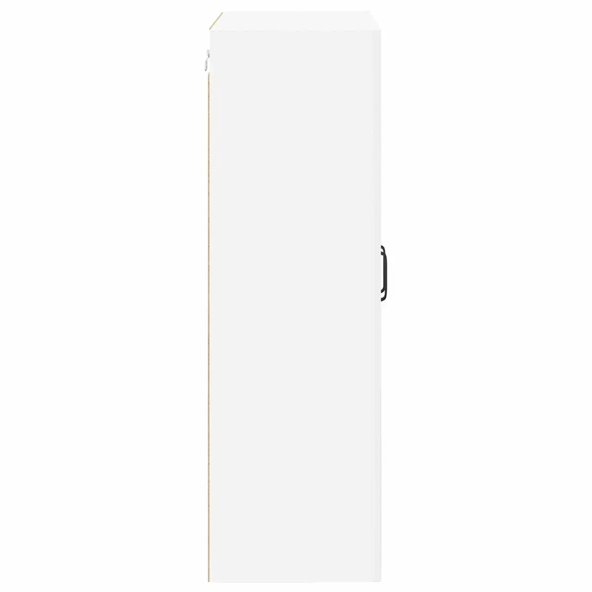 Wall Glass Cabinet for Kitchen Storage 60x31x100cm