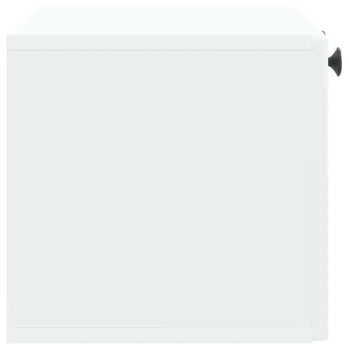 Wall-Mounted TV Cabinet Engineered Wood 59.5 x 31 x 30 cm White