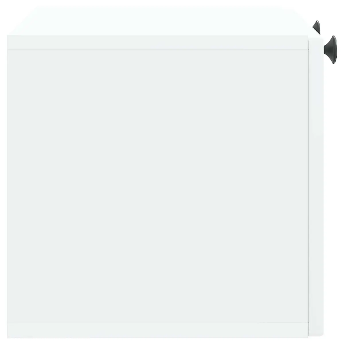 Wall-Mounted TV Cabinet Engineered Wood 59.5 x 31 x 30 cm White