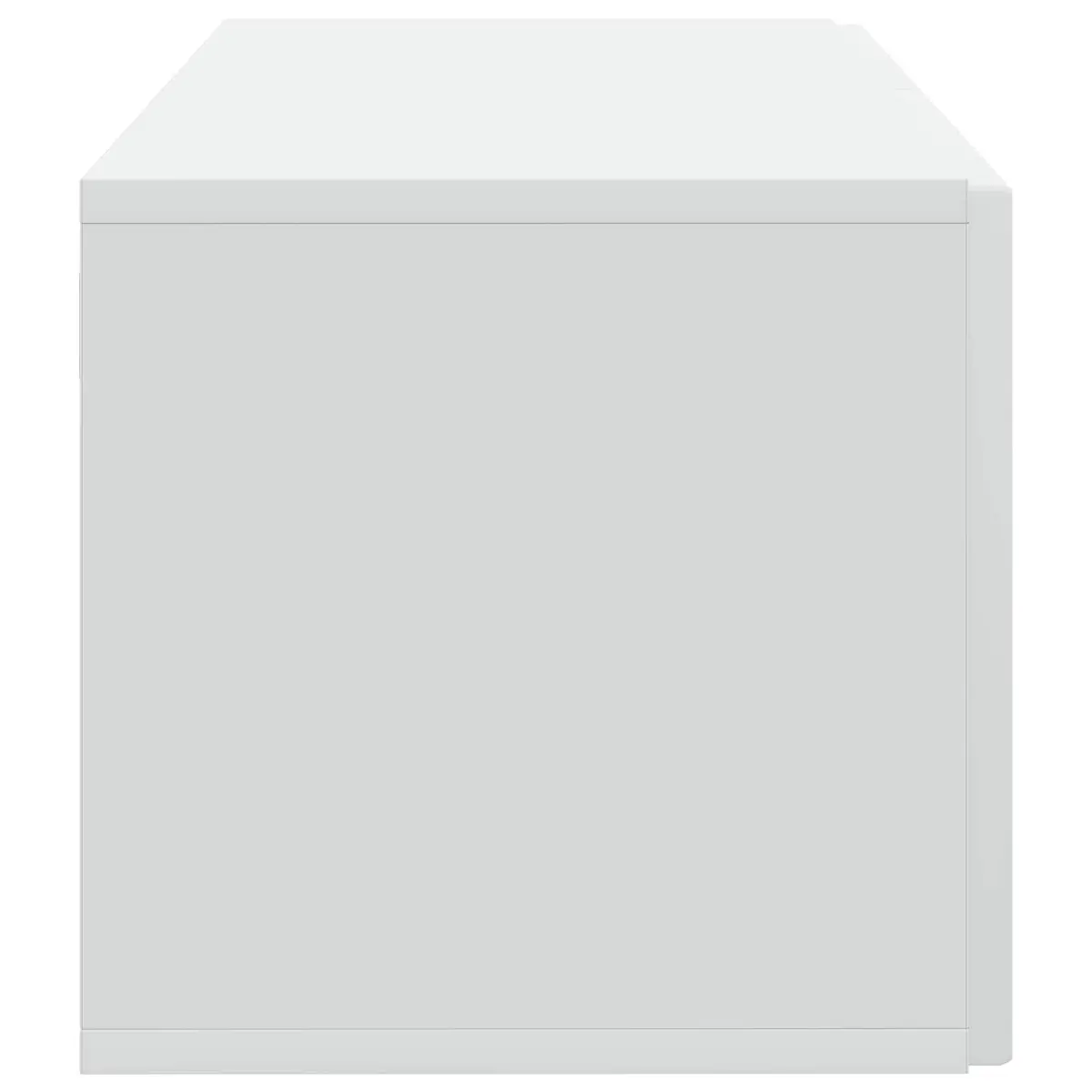 Wall-Mounted TV Cabinet Engineered Wood 59.5 x 31 x 30 cm White