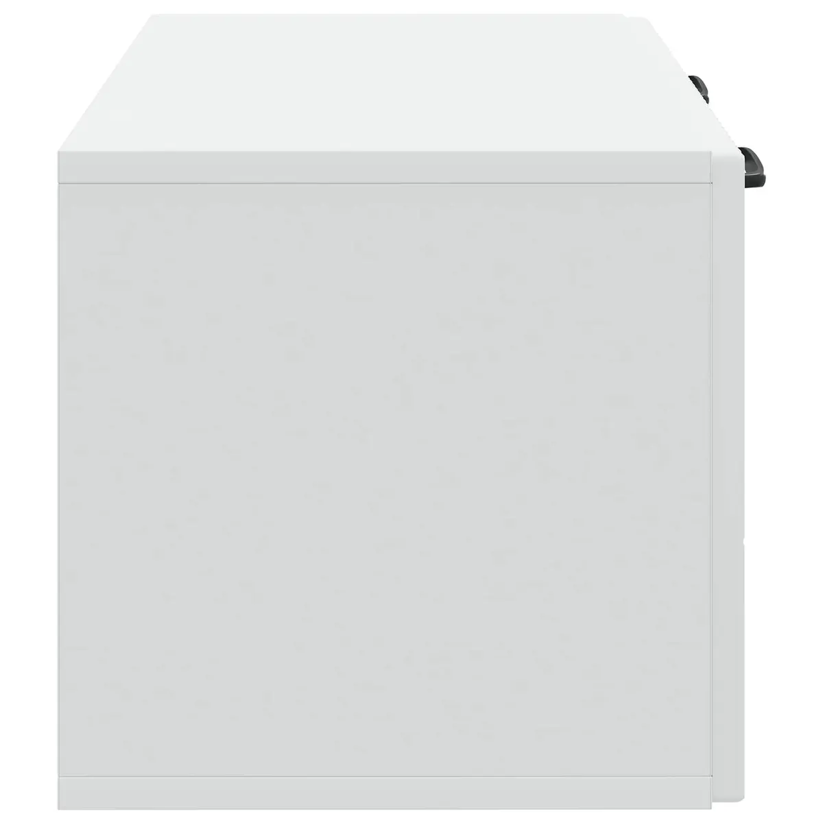 Wall-Mounted TV Cabinet Engineered Wood 59.5 x 31 x 30 cm White