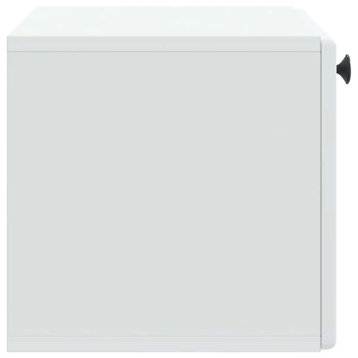 Wall-Mounted TV Cabinet Engineered Wood 59.5 x 31 x 30 cm White