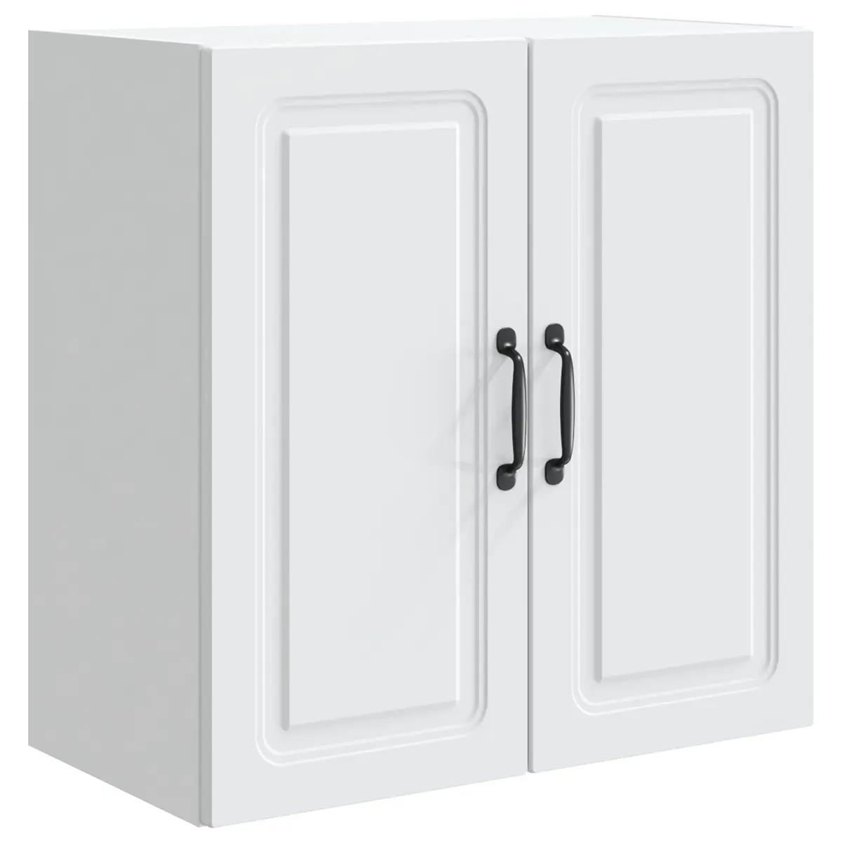 Wall-Mounted Storage Cabinet with Adjustable Shelves
