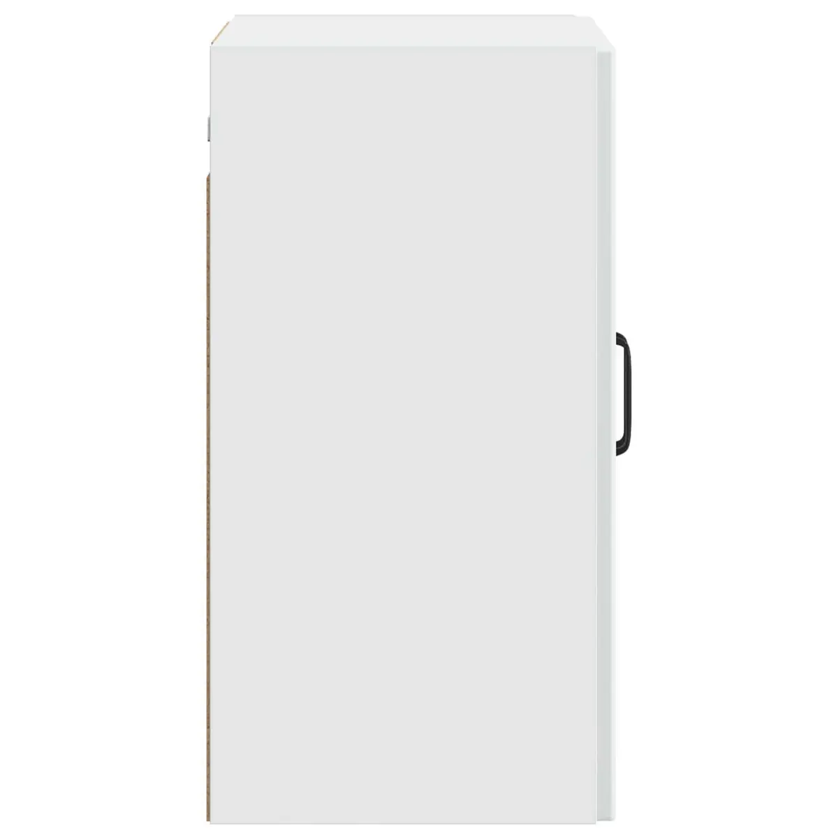 Wall-Mounted Storage Cabinet with Adjustable Shelves
