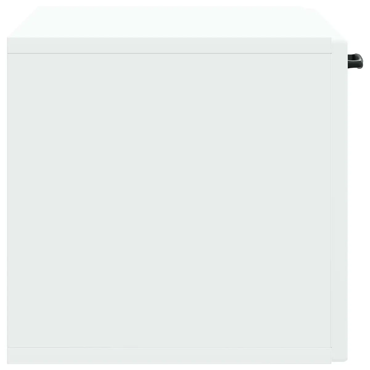 Wall-Mounted TV Cabinet Engineered Wood 59.5 x 31 x 30 cm White